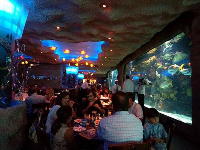 Nightlife Downtown Aquarium Restaurant in Houston TX