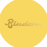 Bludorn Restaurant - Houston