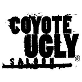 Nightlife Coyote Ugly Saloon in Las Vegas NV