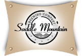 Nightlife Saddle Mountain Brewing Company in Goodyear AZ